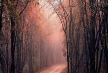 乐鱼官网-黑马觉醒！18分惊天逆转山西铸就季后赛新辉煌