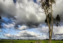 leyu乐鱼体育-绿茵与硬木的碰撞：当凯尔特人跨界捧杯，东契奇深陷哨声迷雾