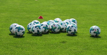 leyu乐鱼体育中国-恩菲尔德外援训练成果显著，力拼强队