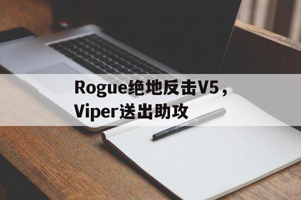 乐鱼在线娱乐-Rogue绝地反击V5，Viper送出助攻的简单介绍